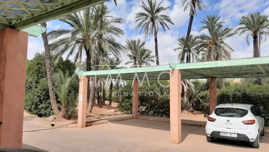 Vente appartement Marocain Marrakech Golfs Autres golfs Palmeraie Circuit Palmeraie