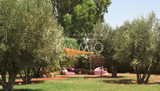Location villa luxueuses Marrakech Palmeraie Bab Atlas