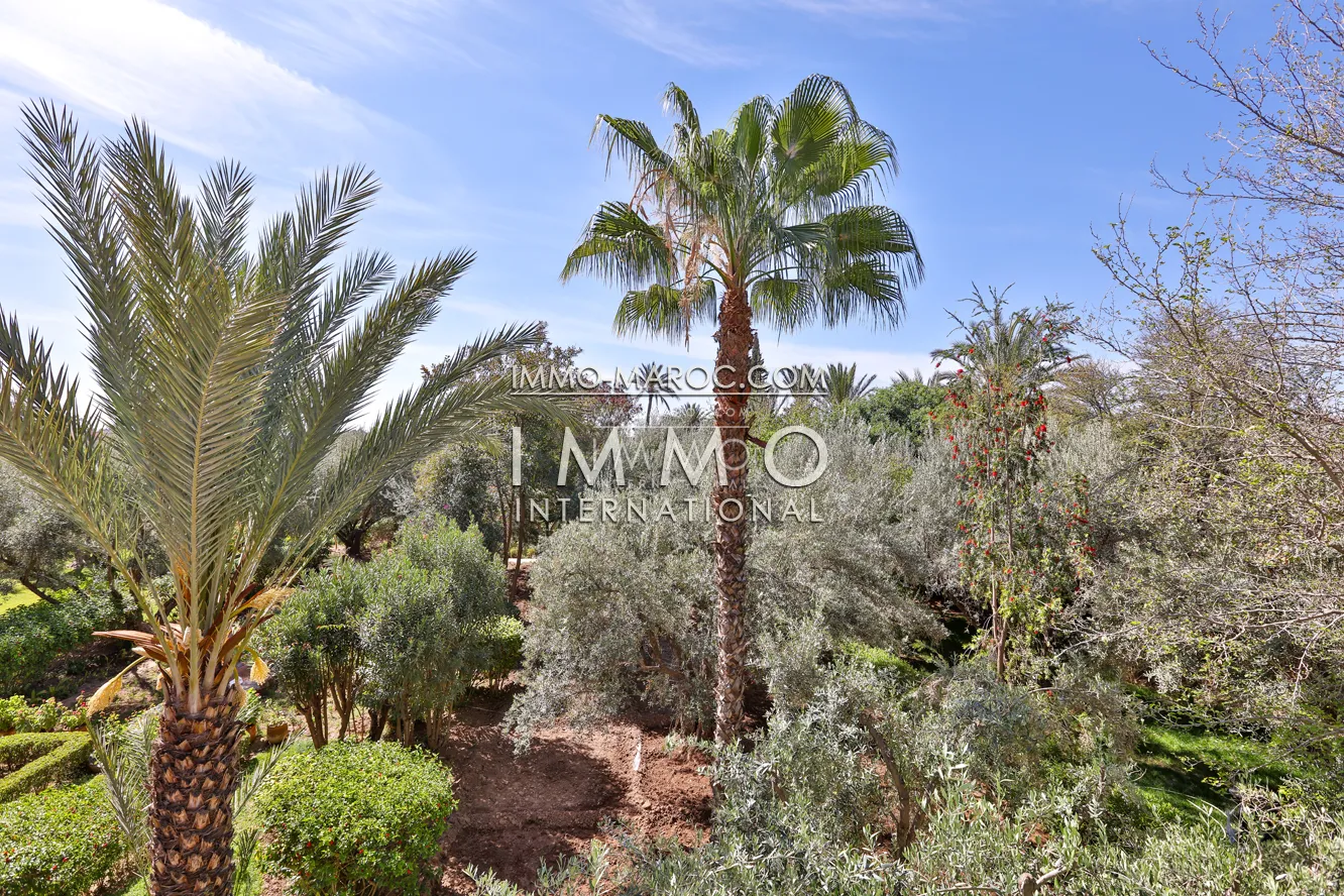 Demeure de prestige au cœur de la palmeraie  marrakech  - Photo 5