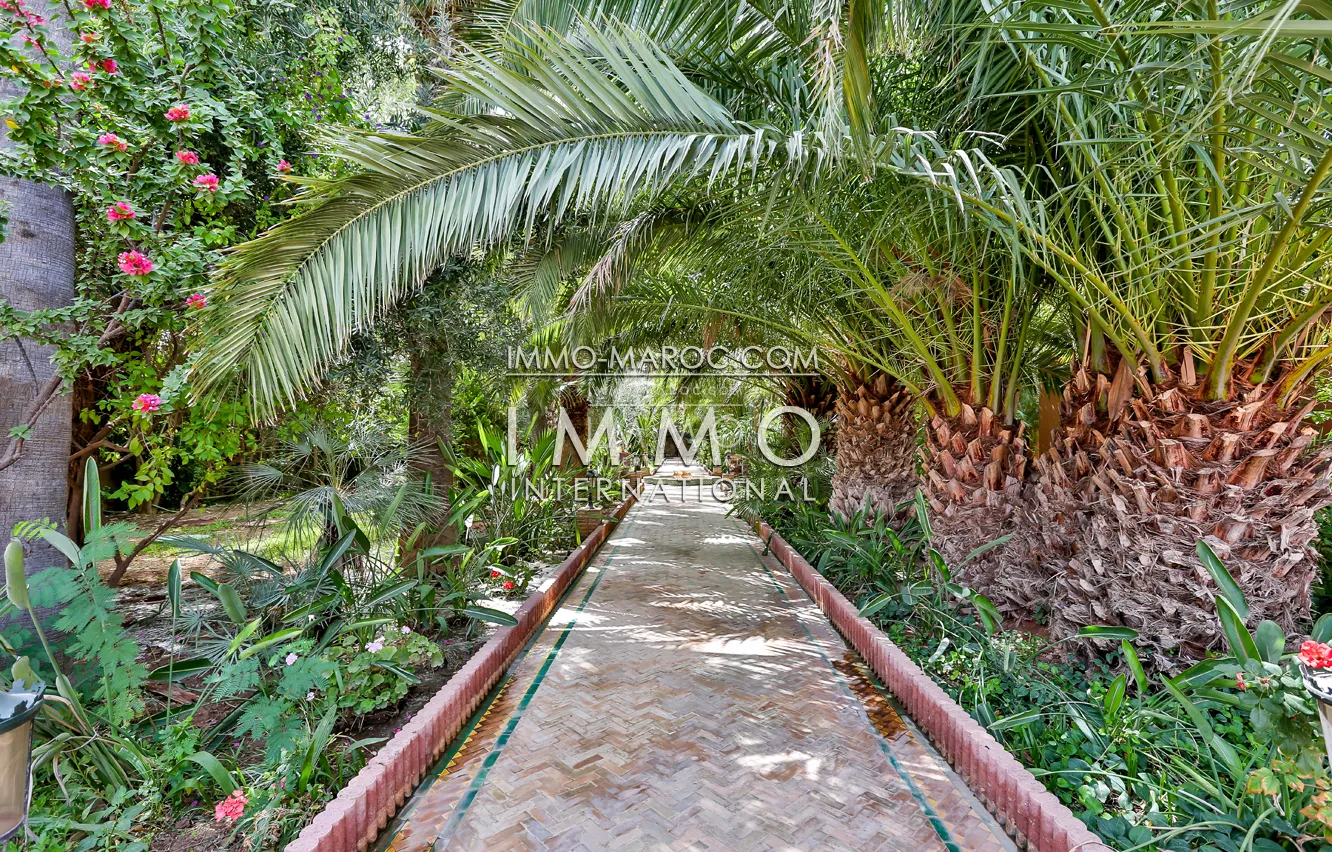 Belle demeure marocaine palmeraie