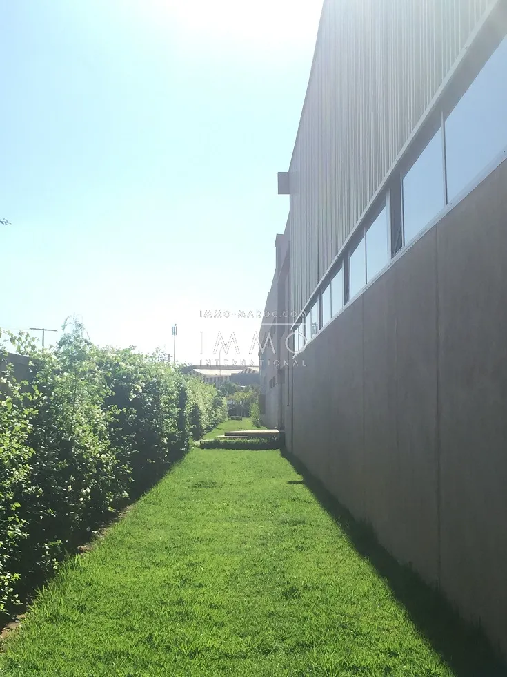 Plateau showroom  d'une superficie 16650 m2