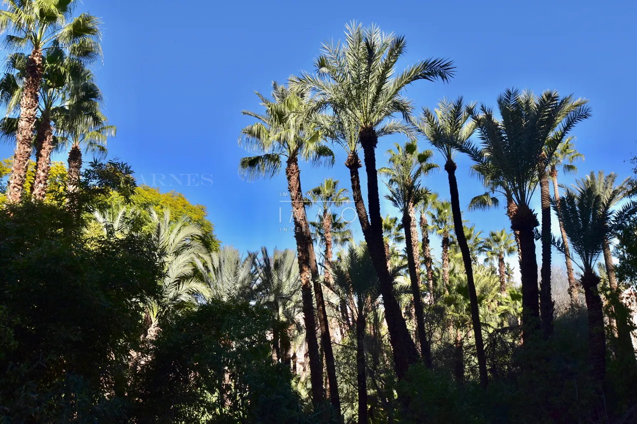 Appartement de prestige à deux pas du jardin majorelle