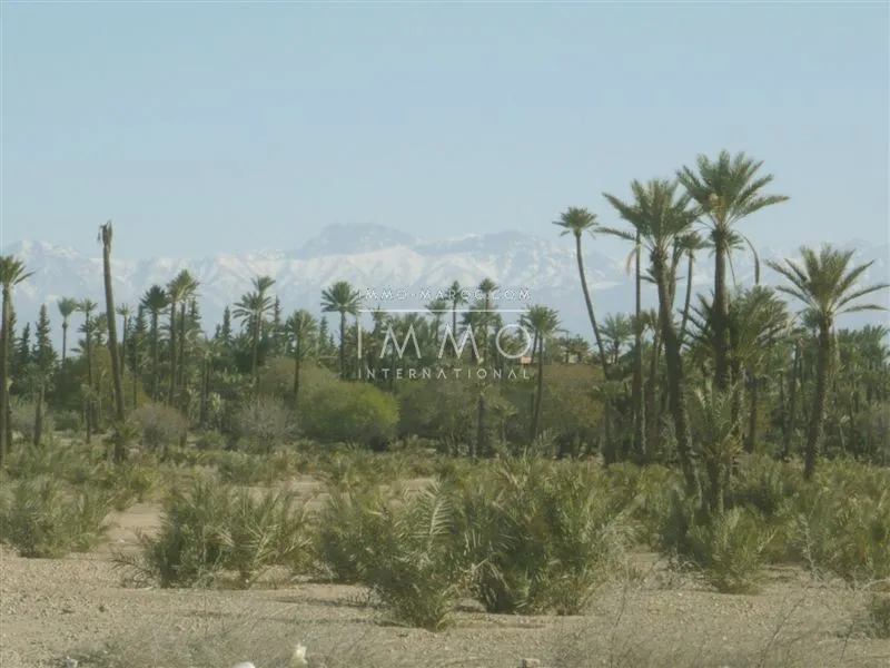 Terrain de 6ha  palmeraie proche de hotel tikida marrakech