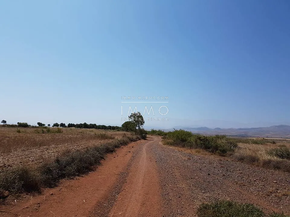 Opportunité exceptionnelle : terrain de 10 hectares à marrakech, route d'amizmiz