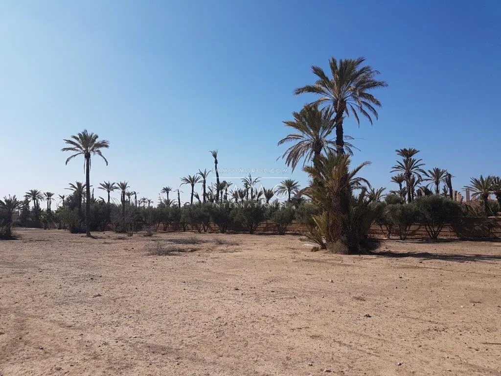 Terrain deux hectare pour lotissement villa 250m