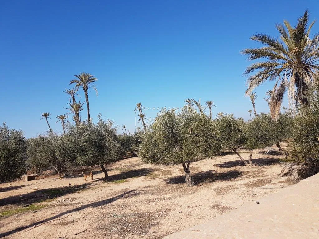 Bonne affaire terrain un hectare pour 4 villas a cote école américain marrakech