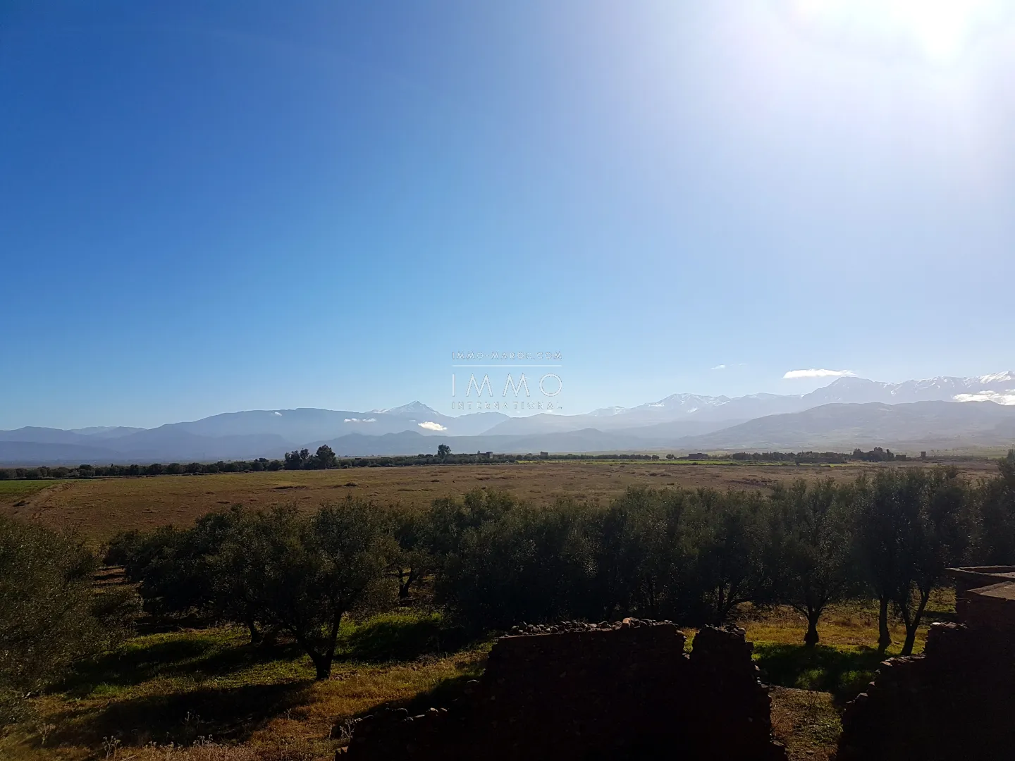 Terrain à vendre – 17 km du centre-ville de marrakech