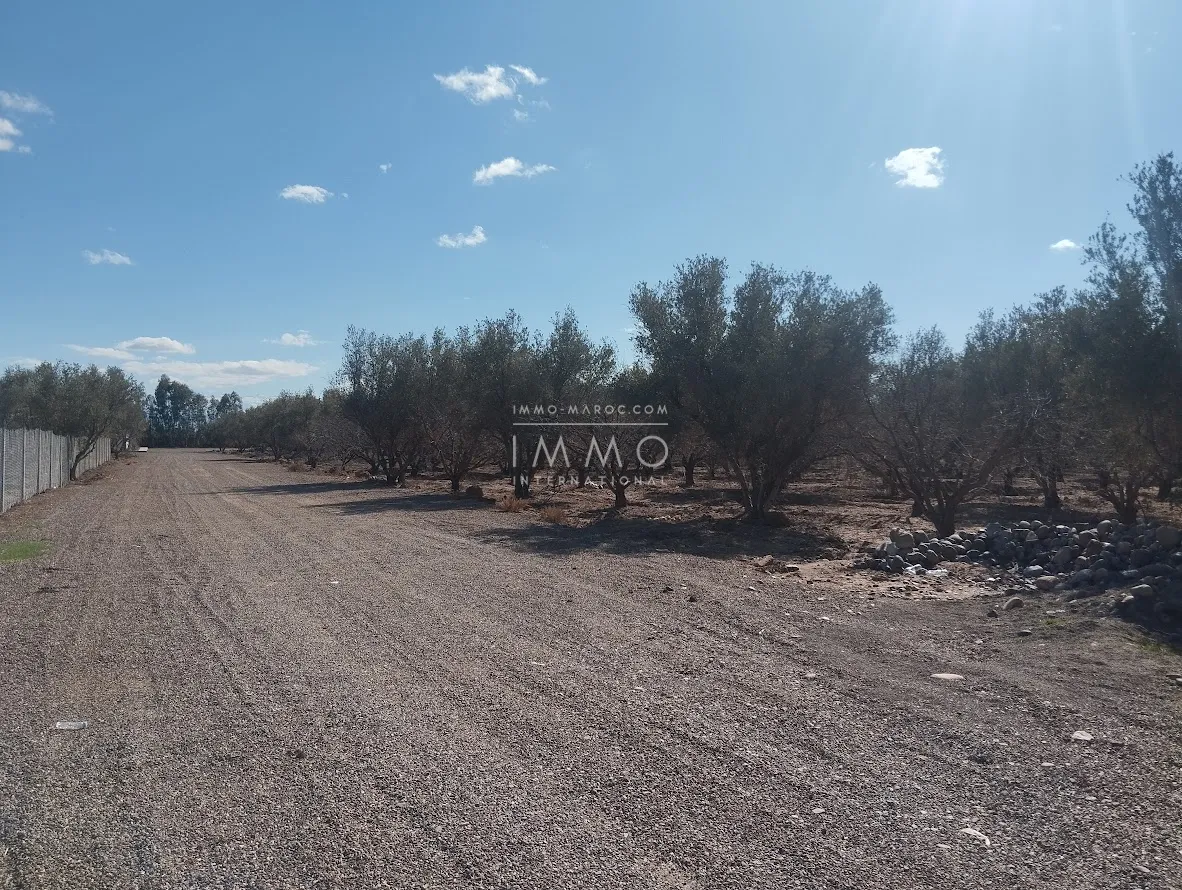 Terrain un hectare pour 4 villas a 12 km de marrakech