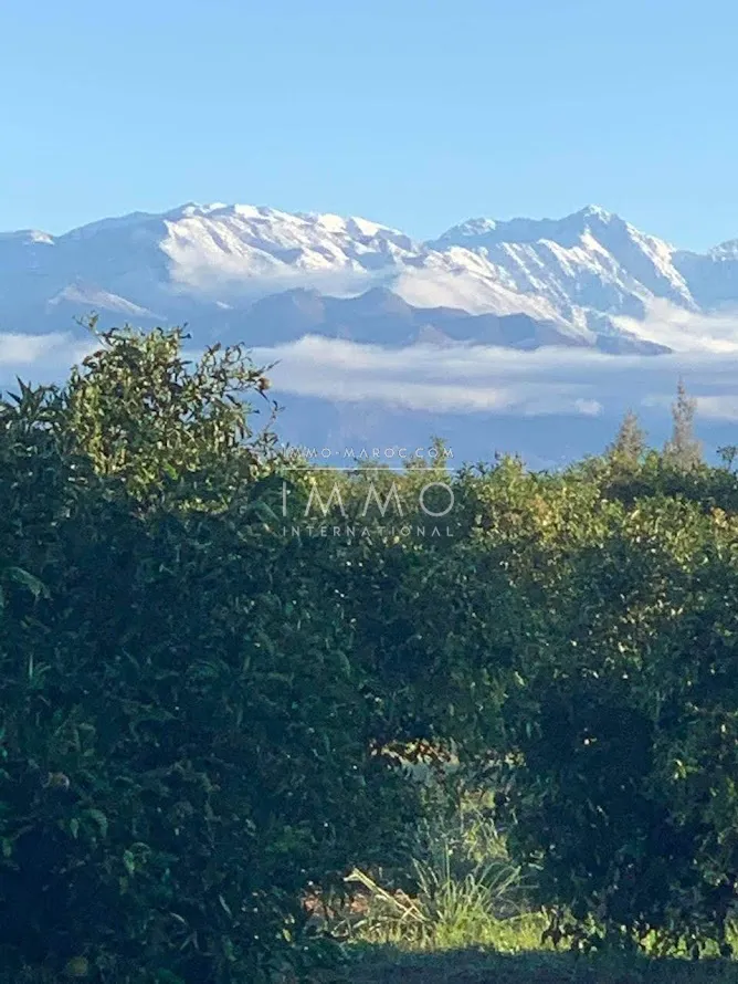 Terrain un hectare pour 4 villas a 12 km de marrakech