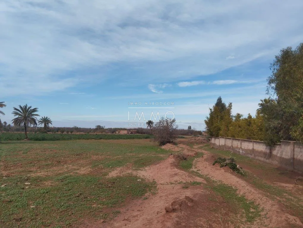 Terrain à vendre – route fez 2h 1930m