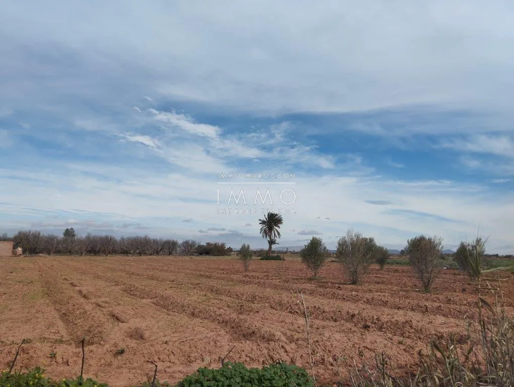 Terrain à vendre – route fez 2h 1930m