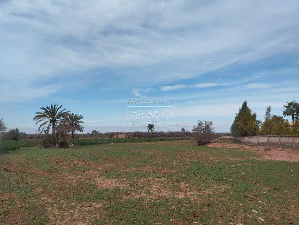 Terrain à vendre – route fez 2h 1930m