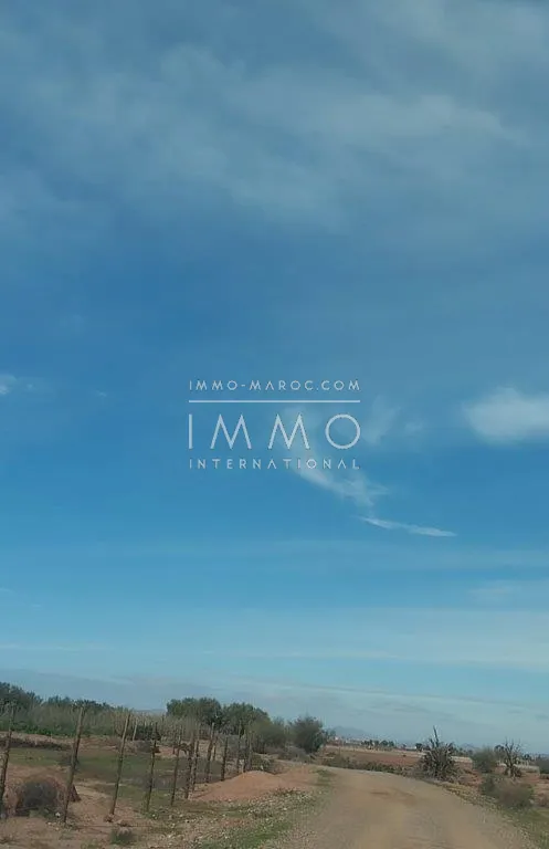 Terrain à vendre – route fez 2h 1930m