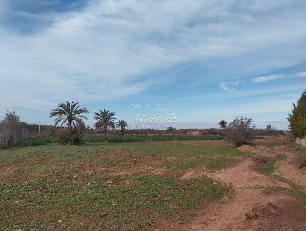 Terrain à vendre – route fez 2h 1930m