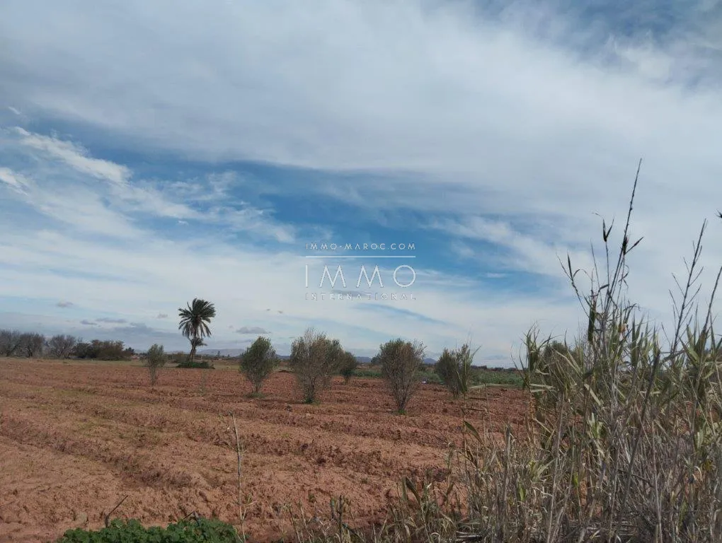 Terrain à vendre – route fez 2h 1930m