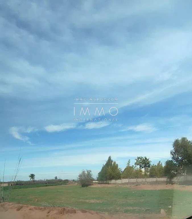 Terrain à vendre – route fez 2h 1930m