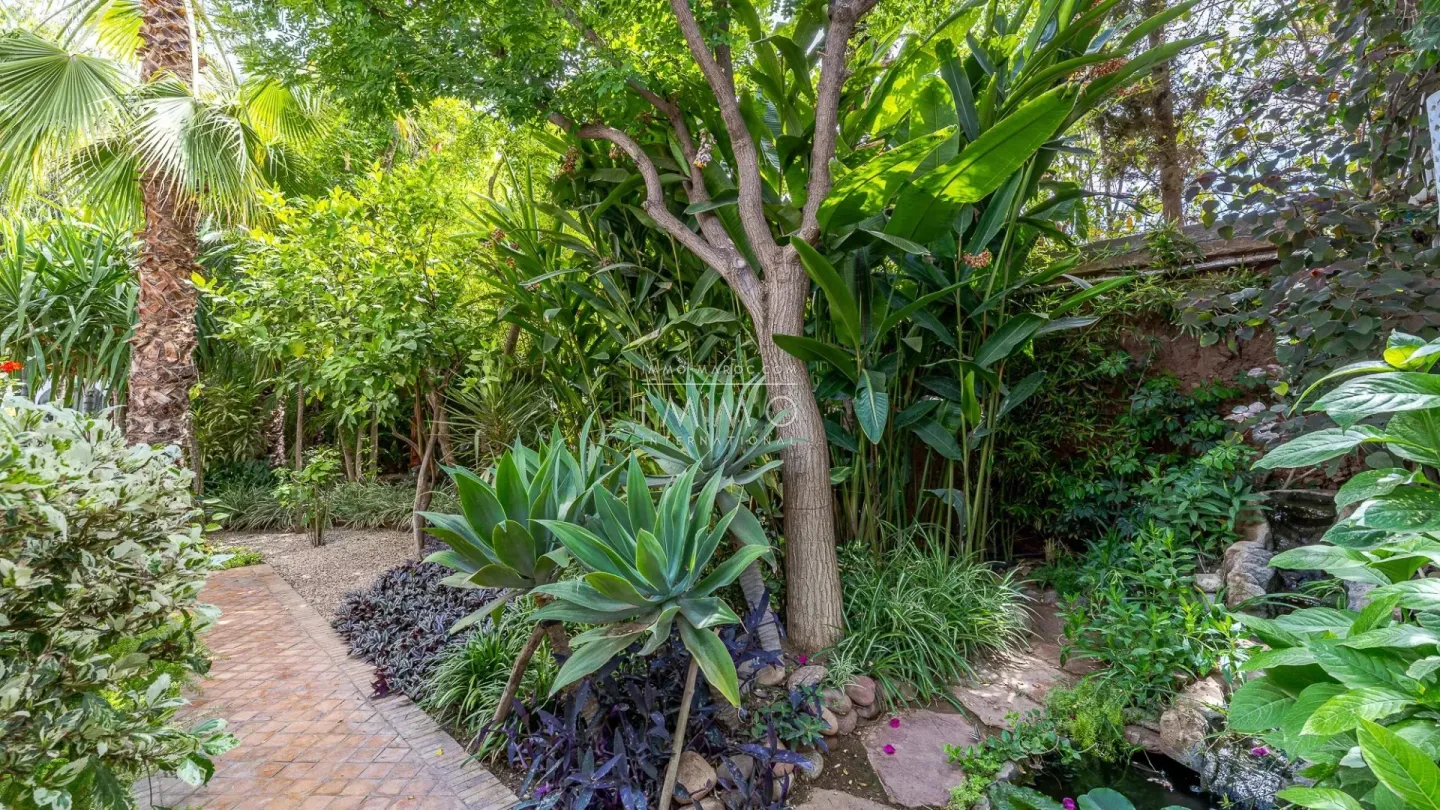 Villa de luxe  de plain-pied avec jardin d'exception