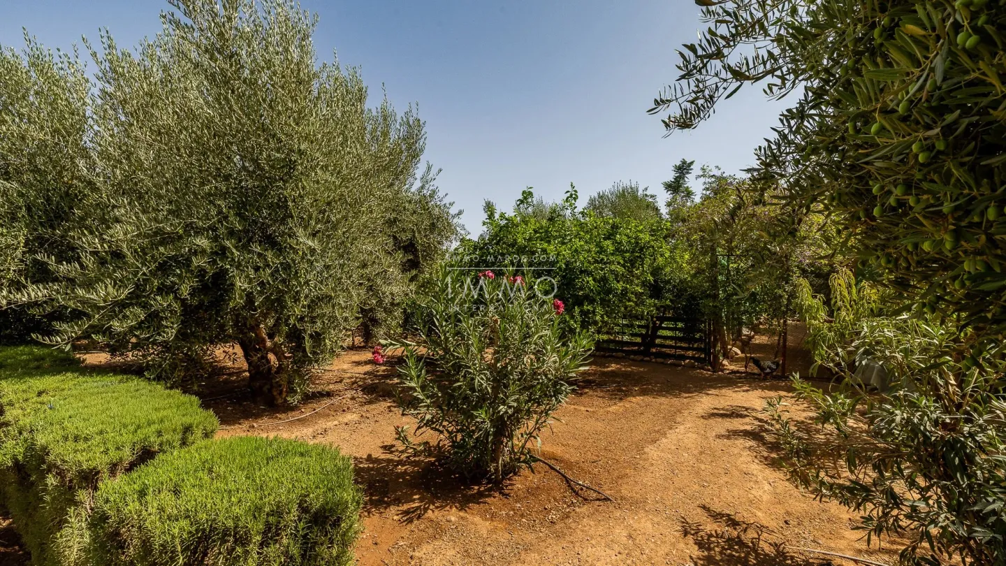 Villa à vendre route de l'ourika – 6 chambres – 920 m² – terrain 5 600 m² – vna – panneaux solaires – parc arboré