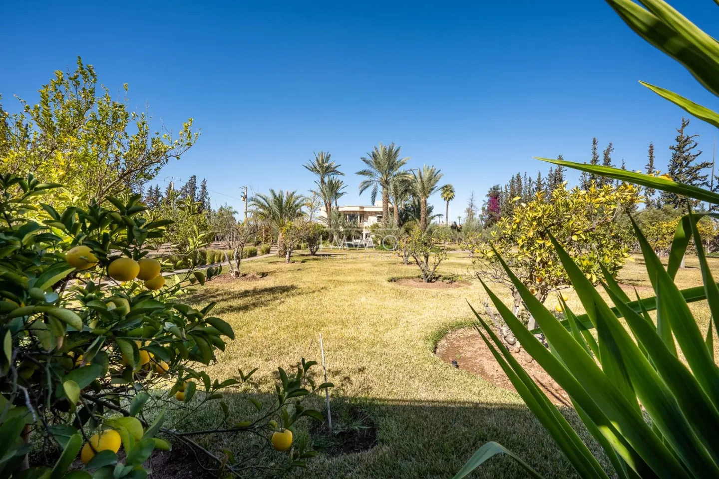 Villa à vendre route de fès – 5 suites – 580 m² – terrain 4 970 m² – spa complet – 2 piscines – panneaux solaires