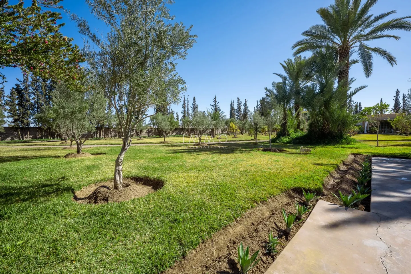 Villa à vendre route de fès – 5 suites – 580 m² – terrain 4 970 m² – spa complet – 2 piscines – panneaux solaires