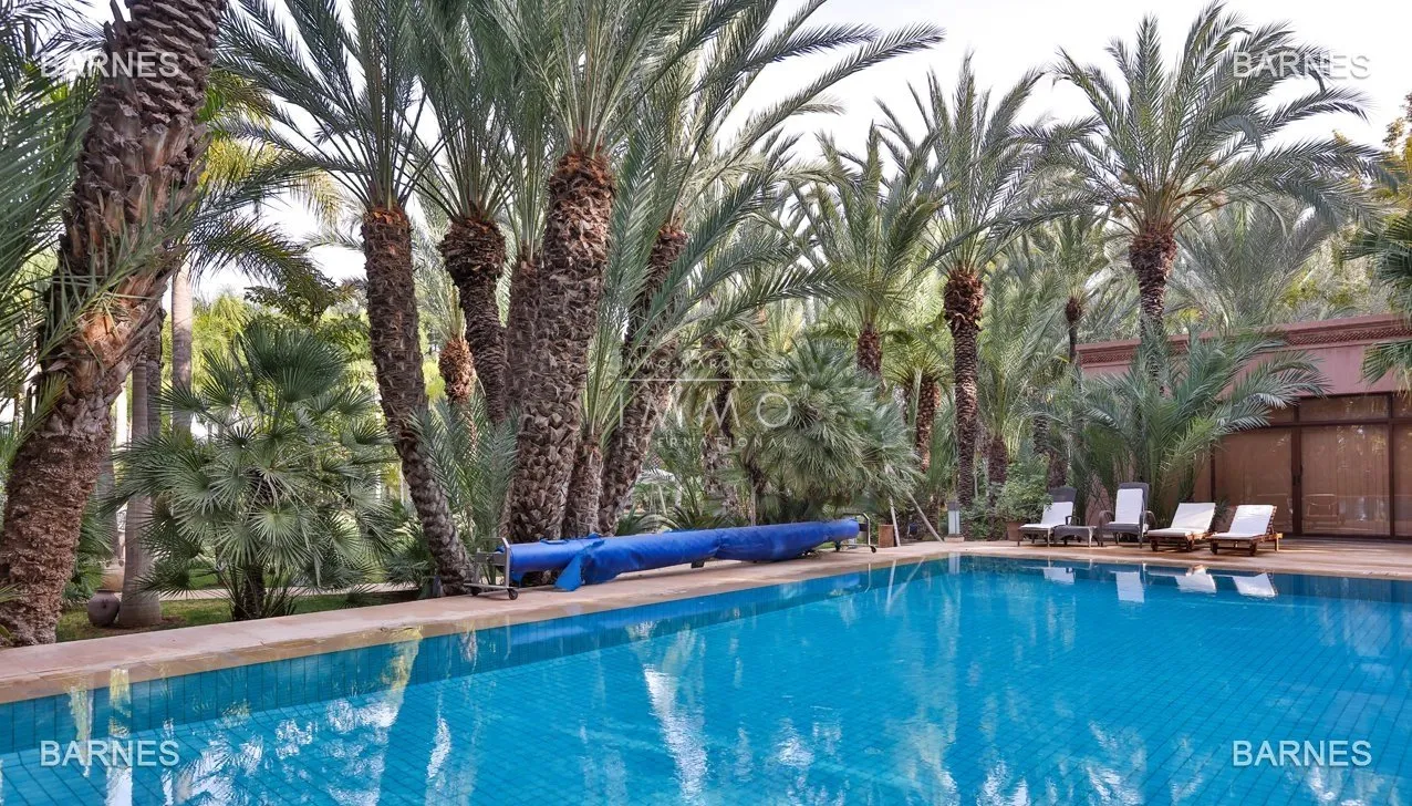 Palais arabo-berbère d’exception – circuit de la palmeraie – 5 suites – oasis d’un hectare