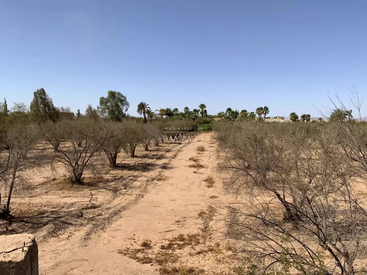 Terrain à vendre à route de fès – 10 680 m²