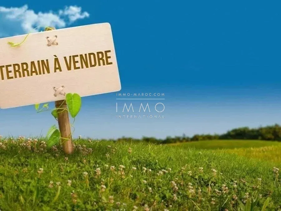 Terrain à vendre à route de fès – 10 000 m²