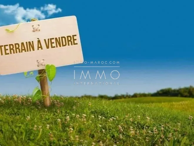 Terrain à vendre à la palmeraie, dar tounsi – 10 100 m²