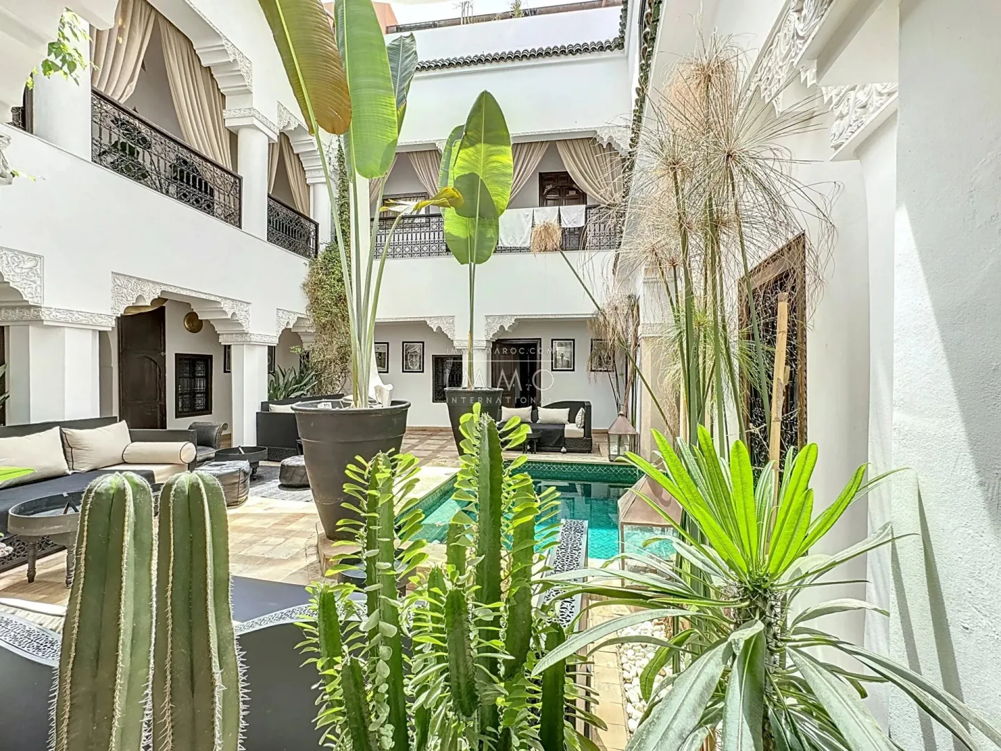 Riad à vendre – bab doukkala – 7 chambres – maison d'hôtes beldi chic – bassin chauffé – spa & hammam – potentiel hôtelier