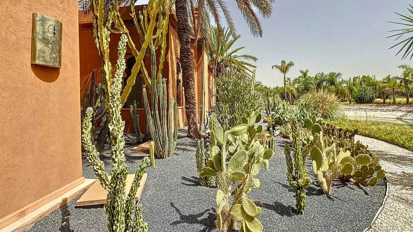 Palais à vendre palmeraie – 5 suites – 900 m² – terrain 3 ha – architecture marocaine royale – hammam – meublé