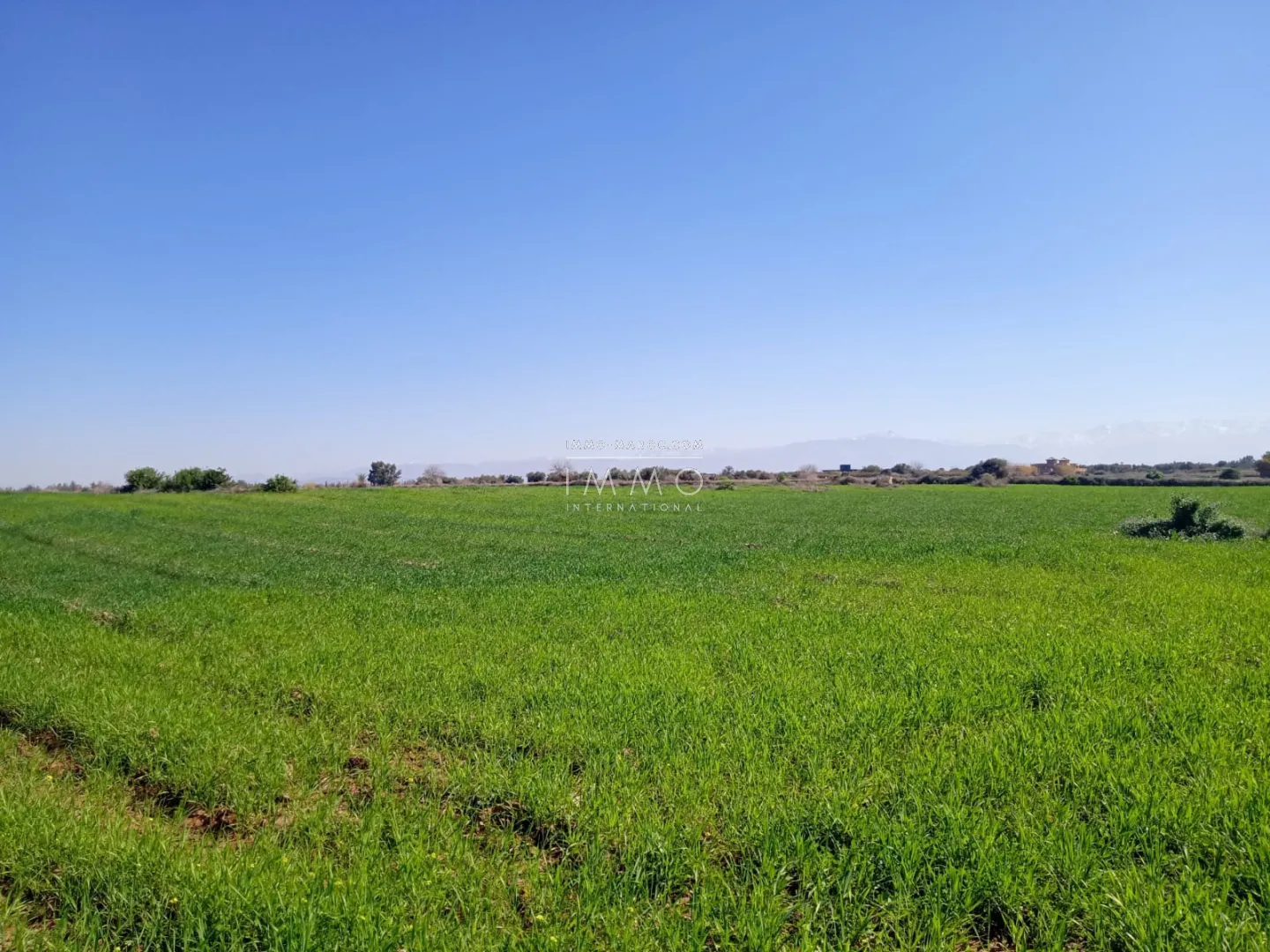 Opportunité à marrakech terrain d’une superficie de 26 hectares 