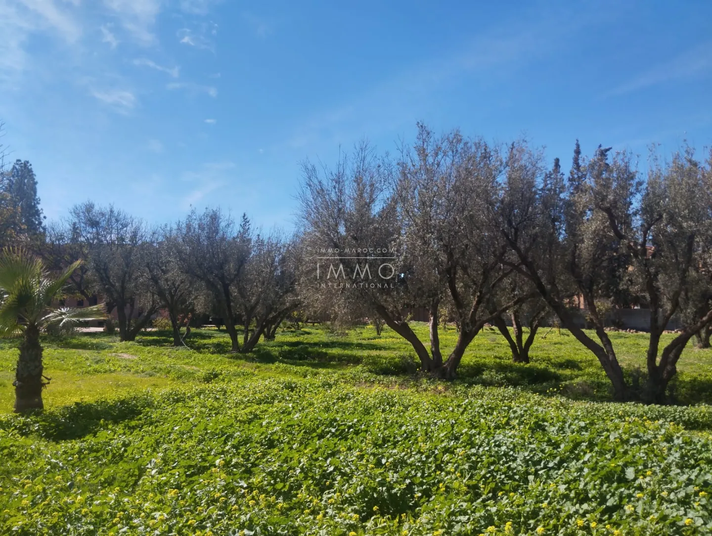 Magnifique terrain à vendre – idéal projet hôtelier – route d’ourika