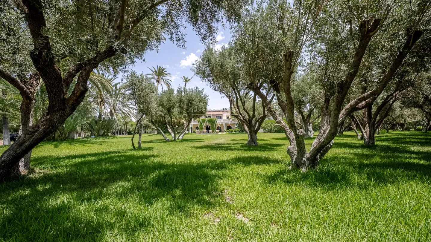 à vendre villa d'exception à bab atlas - Photo 37
