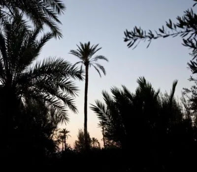 Venta Casa-Marrakech