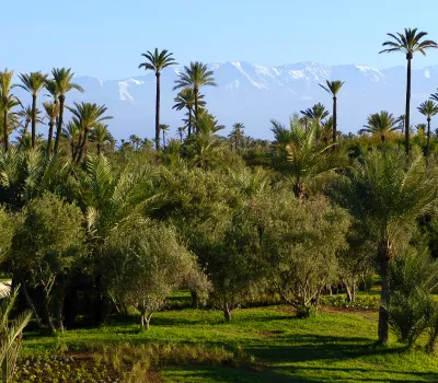 Purchase Moroccan villa Marrakech Palmeraie Bab Atlas