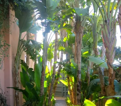 Rental house Moderne Marrakech Golfs