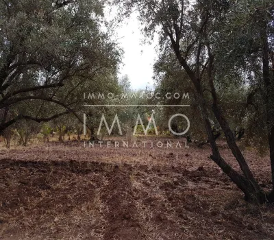 achat terrain Terrain villa Marrakech Extérieur Route Fes