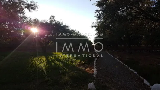 Land for sale Farm Marrakech Exterior Road Sidi Abdellah Ghiat