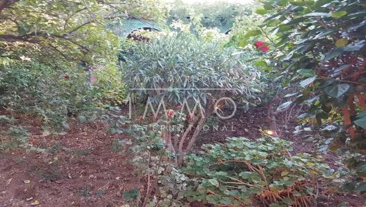 Sell ​​ground Farm Marrakech Exterior Road Sidi Abdellah Ghiat