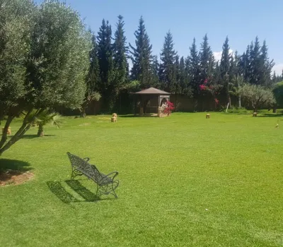 Marrakech luxury villa rentals Away