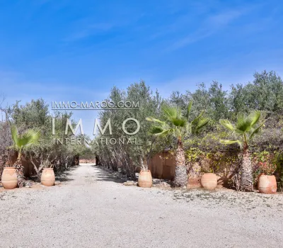 buy house Moroccan purified luxury real estate marrakech Marrakech Exterior Route Fes