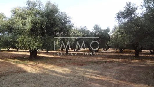 purchase property Land villa Marrakech Golfs Al Maaden