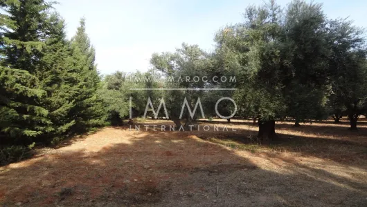 Land for sale Land villa Marrakech Golfs Al Maaden