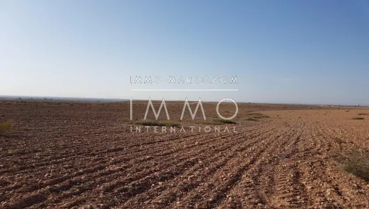 Terrain à vendre Ferme Marrakech Extérieur Autres Extérieur
