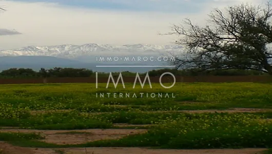 Sale ground Ground villa Marrakech Exterior Route Ouarzazate