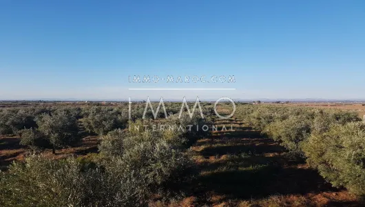 Land for sale Farm Marrakech Exterior Road Sidi Abdellah Ghiat