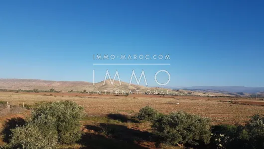 Land for sale Farm Marrakech Exterior Road Sidi Abdellah Ghiat