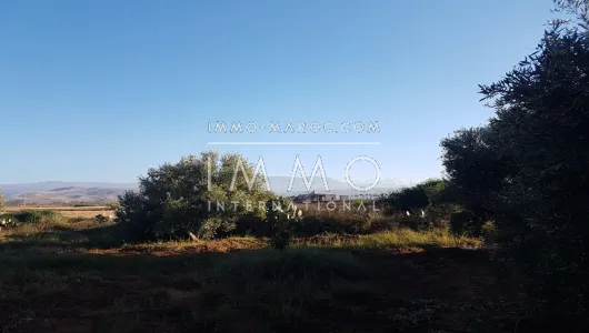 Sell ​​ground Farm Marrakech Exterior Road Sidi Abdellah Ghiat