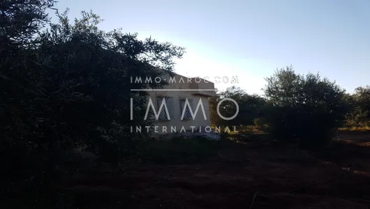 Sell ​​ground Farm Marrakech Exterior Road Sidi Abdellah Ghiat