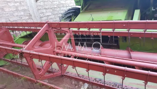 Sell ​​ground Farm Marrakech Exterior Road Sidi Abdellah Ghiat